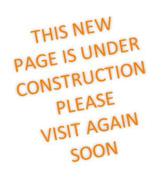 THIS NEW PAGE IS UNDER CONSTRUCTION PLEASE  VISIT AGAIN SOON